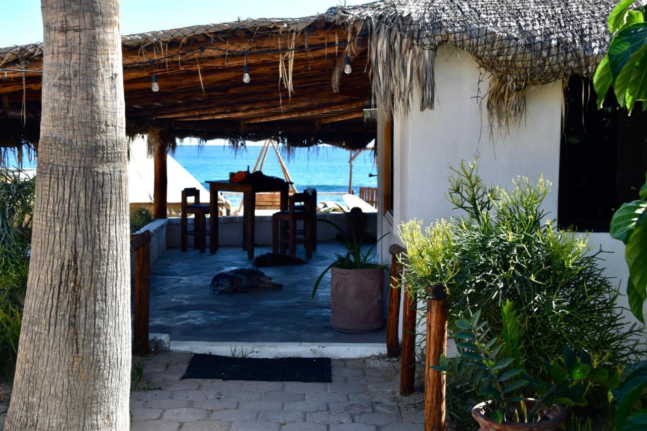 Rustico Lounge - Property In Front Of The Beach San José del Cabo Exterior photo